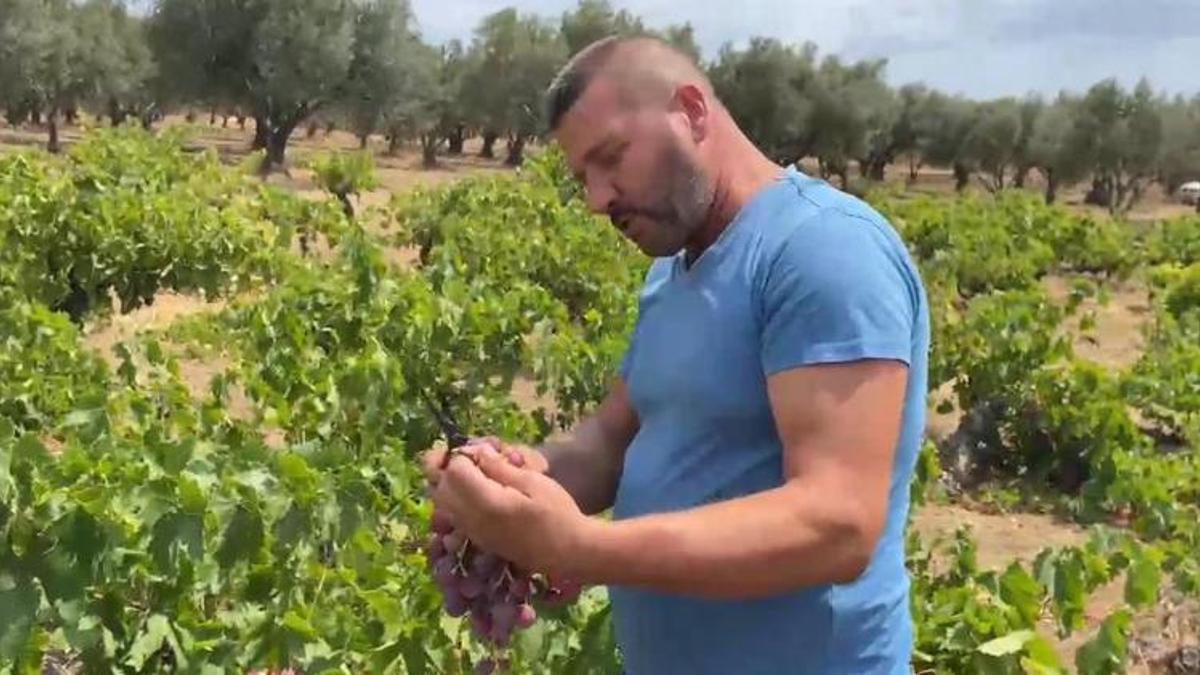 Tekirdağ'da üreticiler isyanda: Memnun değiliz, 60 liradan almaya çalışıyorlar