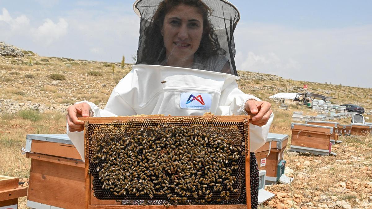 Büyükşehir’in tarım destekleri sayesinde Seher hayallerine kavuştu