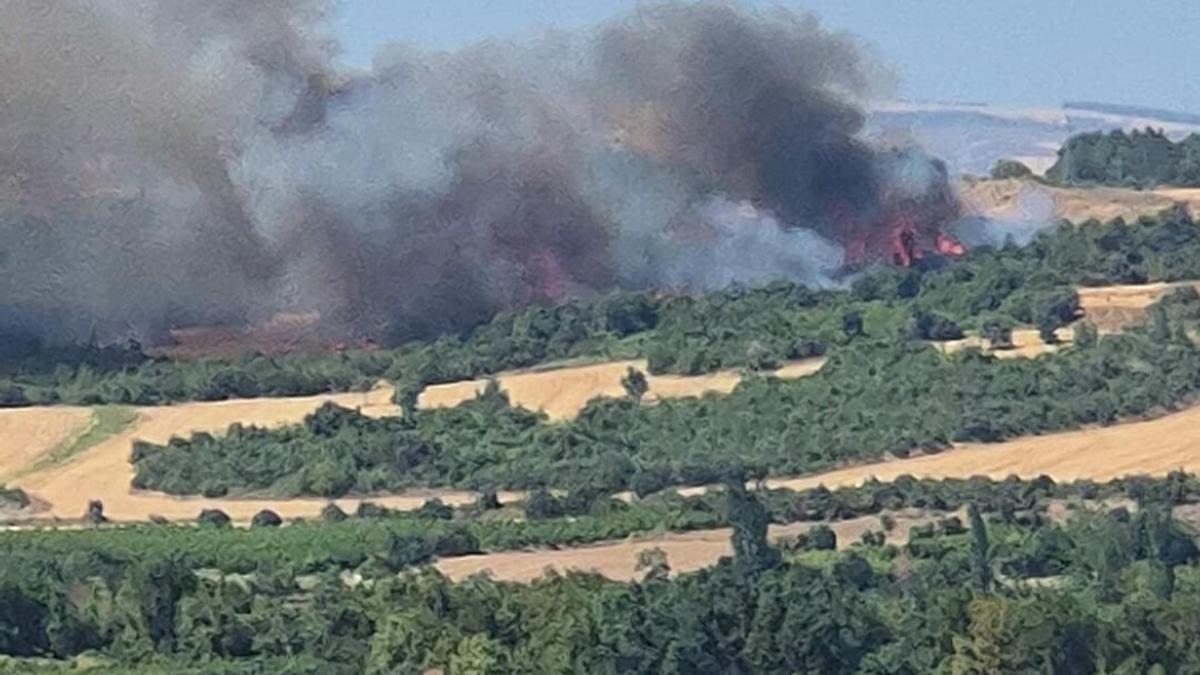 Çanakkale’de orman yangını