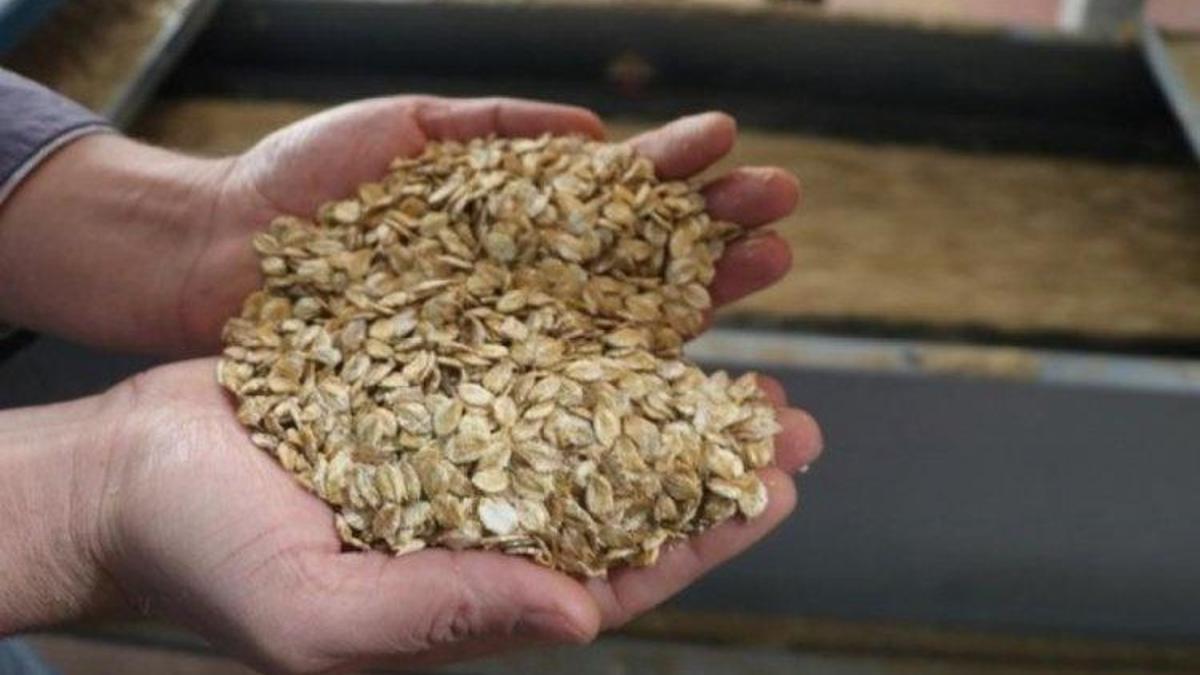 Bursa'da başvurular başladı: Üretici için haber geldi! Son gün 7 Eylül