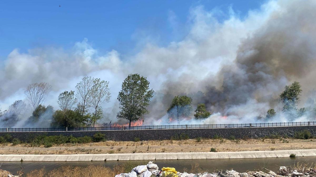Çanakkale'de Ayvacık'ta da orman yangını çıktı