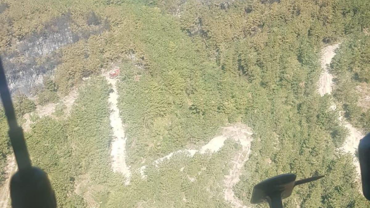 Bolu'da orman yangını kontrol altında; 2 gözaltı