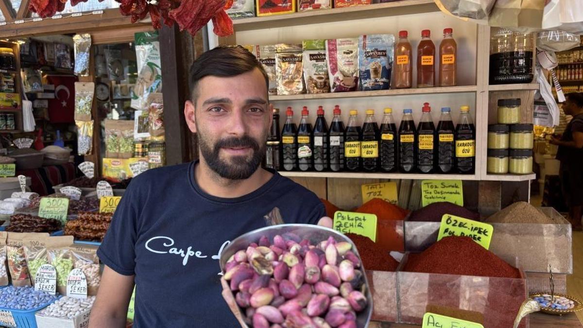 Antep fıstığı tezgaha indi: Yeni mahsulün kilosu 500 TL oldu