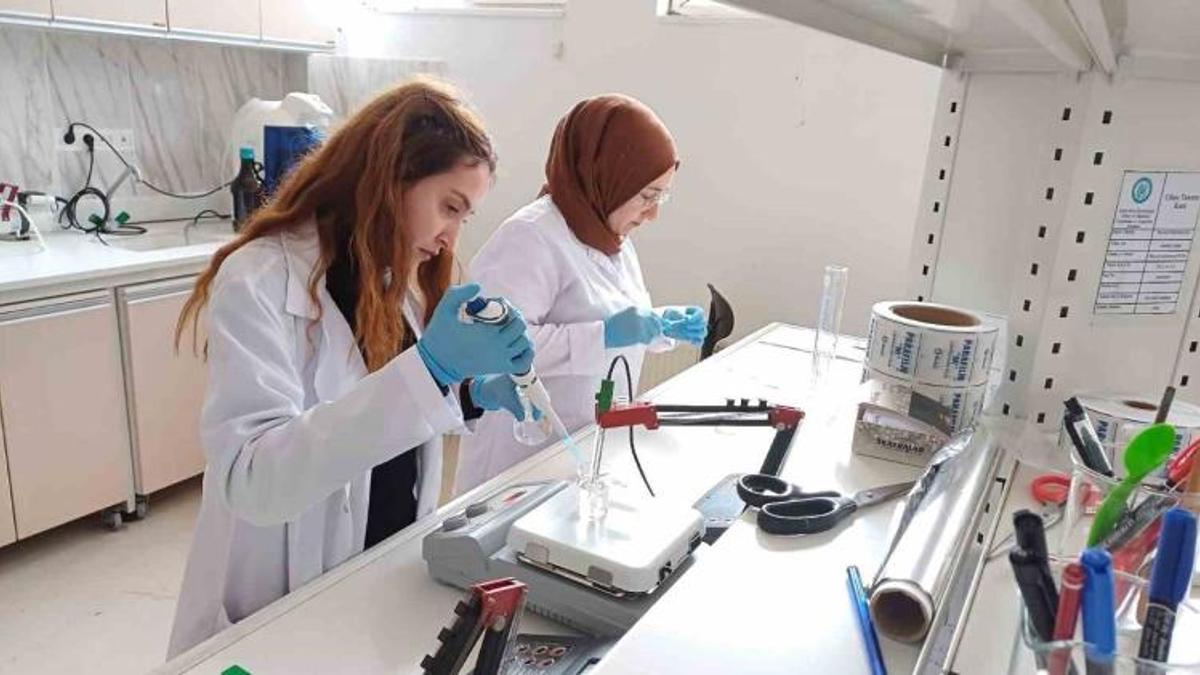 Bitlis Eren Üniversitesi personel alımı: 24 öğretim üyesi alınacak