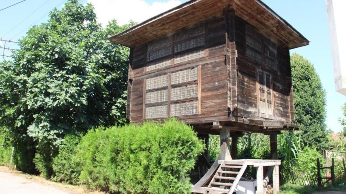 Samsun'da 150 yıldır ayakta: Görenler ona Serendi diyor!