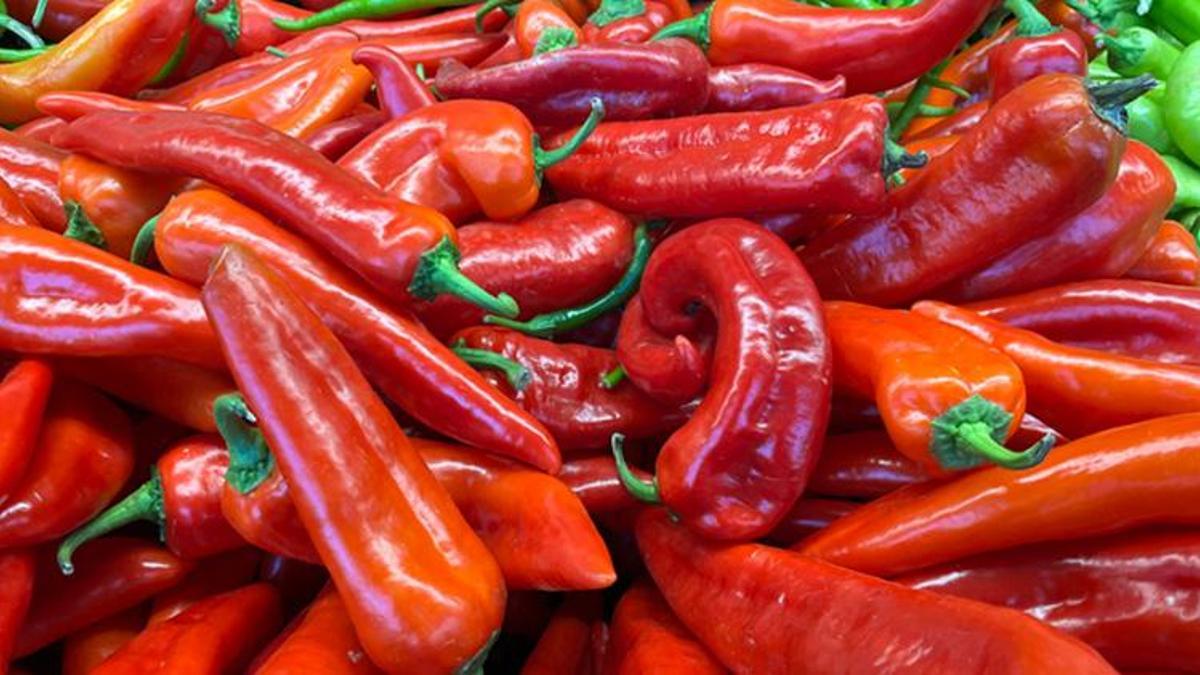 Salçalık biber fiyatları uçuşa geçti: Adana'da kilogramı 20 liraya dayandı!