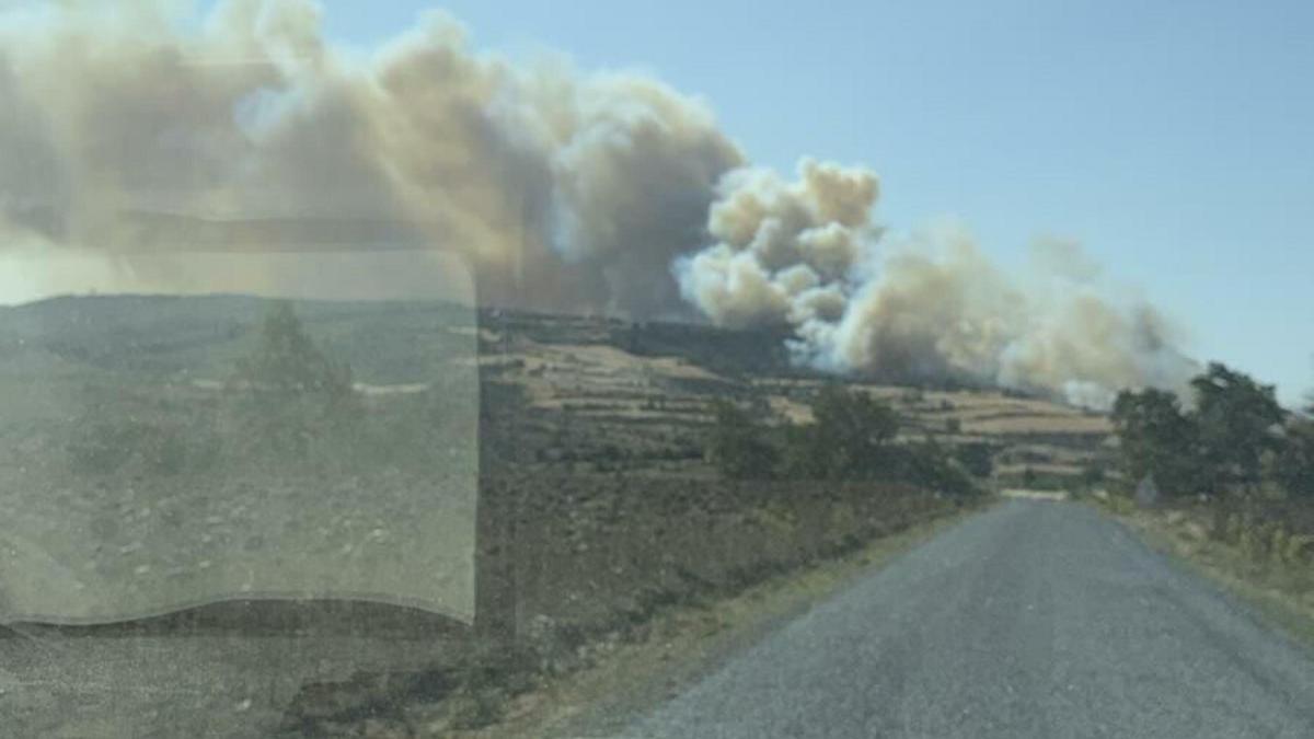 Çanakkale'de orman yangını