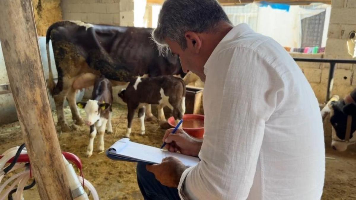 Şanlıurfa'da şap hastalığı tehlikesi! Zorlu mücadele devam ediyor