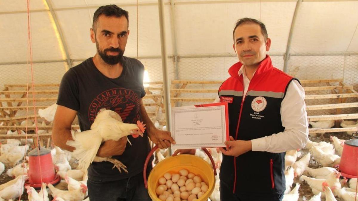 Öğretmenlik okudu, atamayınca 30 tane tavuk aldı! Şimdi hem üretiyor hem de kazanıyor