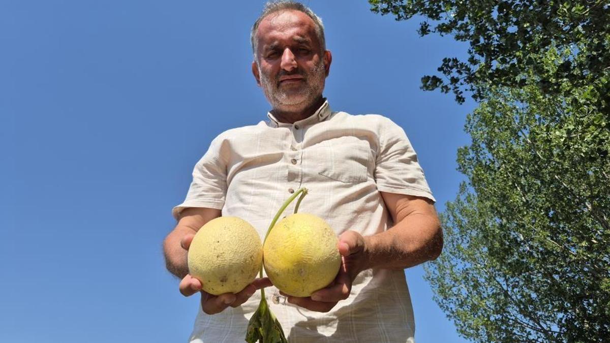 Artık kavun ve karpuz kasıma kadar sofralarda olacak! Sırrı ise Türk tarımında gizli