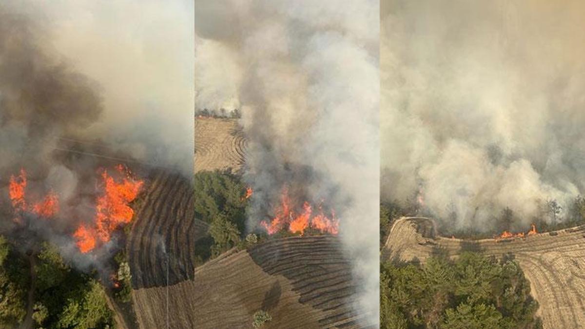 Adana'da orman yangını! 6 helikopter ve 2 uçakla müdahale ediliyor