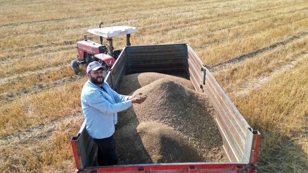 Türkiye'nin ihtiyacının yüzde 75'ini karşılıyor! Küçük ilçede bereketli hasat başladı, kilosu 100 TL'den alıcı buluyor