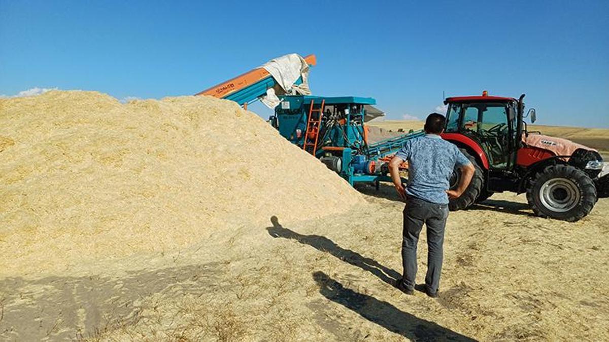 Geçen yıl tarlada çürüdü, bu yıl 2 bin liradan kapış kapış gidiyor
