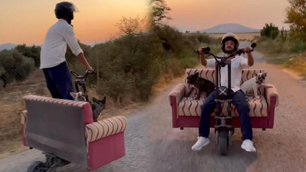 Aldığı ceza onu durdurmadı! Scooter'a koltuk takıp köpekleriyle gezdi