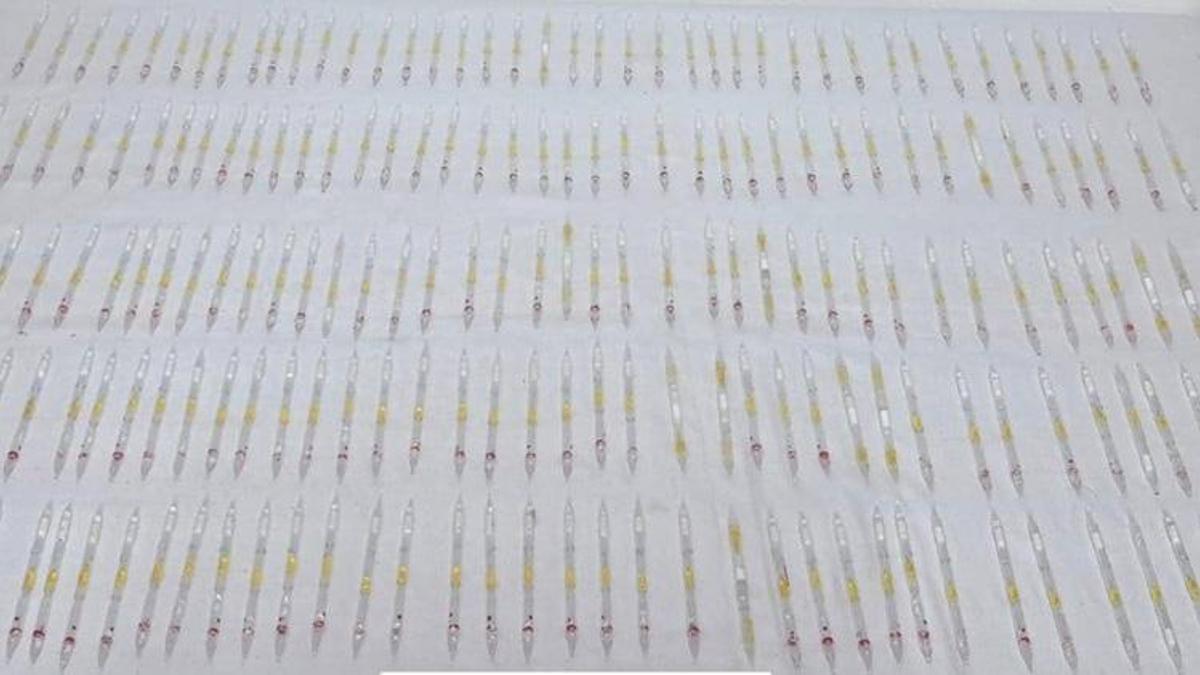 Burdur'da ele geçirildi: Piyasa değeri 60 milyon lira!