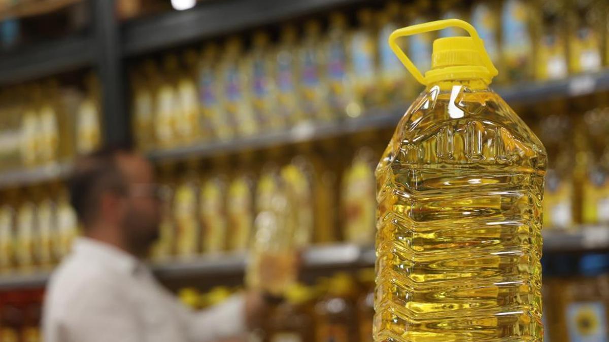 Konya Ovası'nda ayçiçeğinde yağ kalitesi üst seviyede, yağda sorun görünmüyor