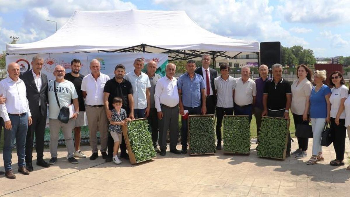 Bafra Ovası’nda ihracata uygun sebze üretilecek! Fideler teslim edildi