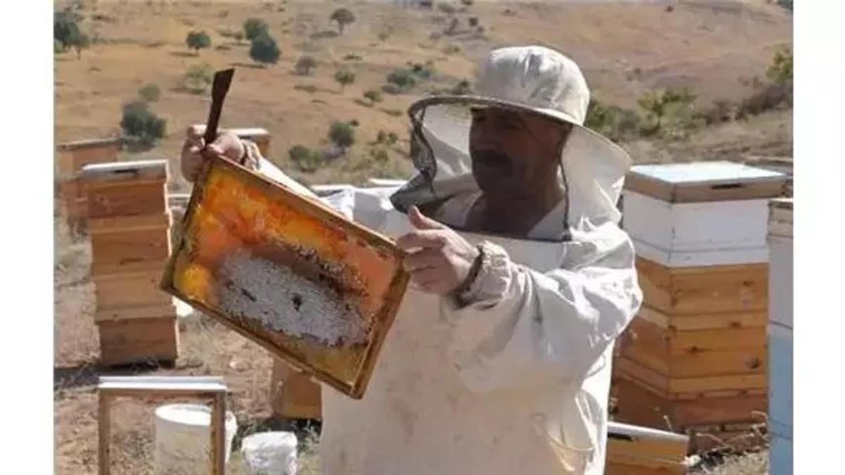 Siirt'te başvurular başladı! Y 50 hibe, yüzde 50 yararlanıcı katkı payı esas alınacak