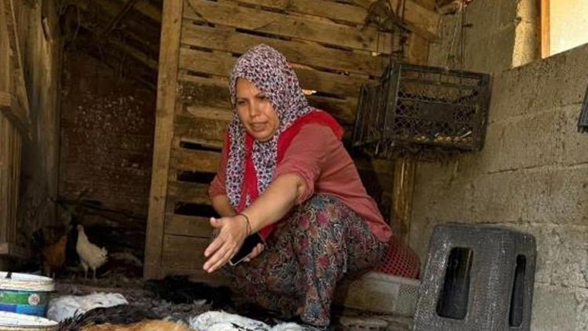 22 yıl yaptı, sabah namazından sonra kümese bakınca inanamadı