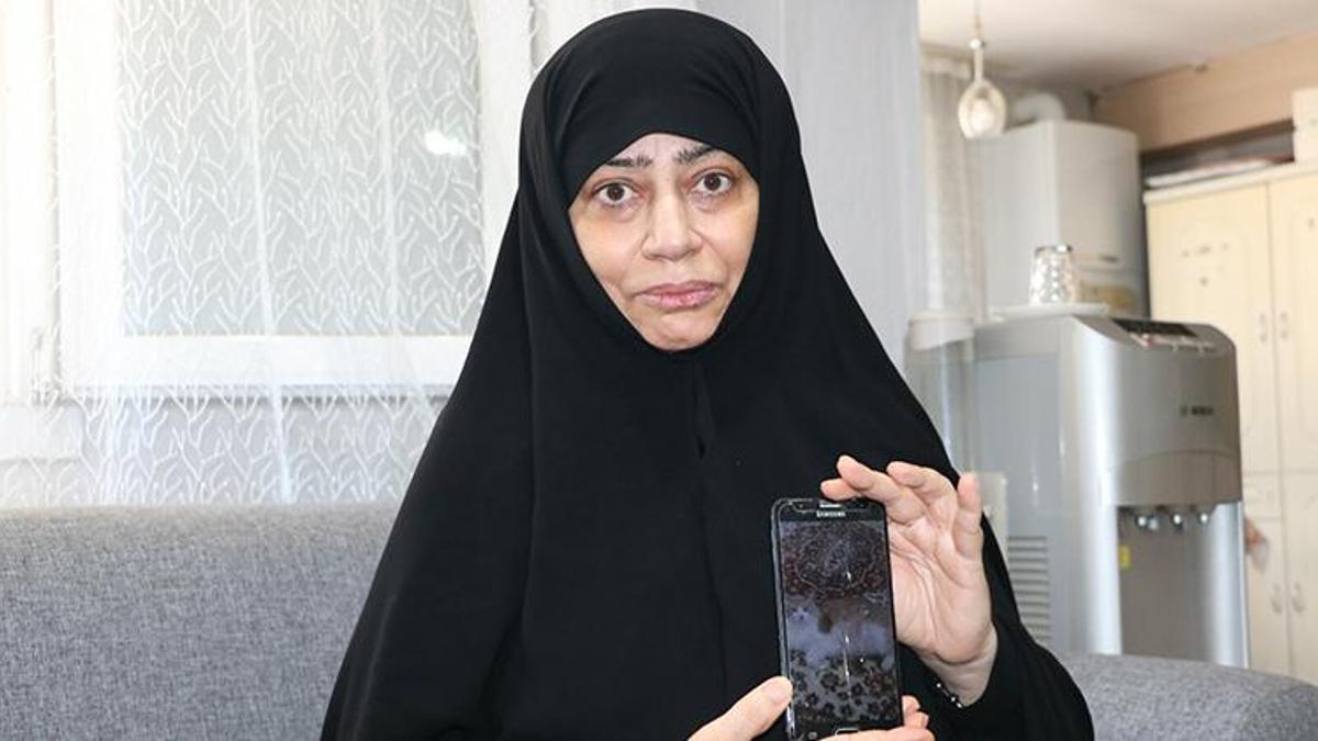 Kaybolan kedisi 'Gıde'yi bulana 5 bin lira ödül verecek