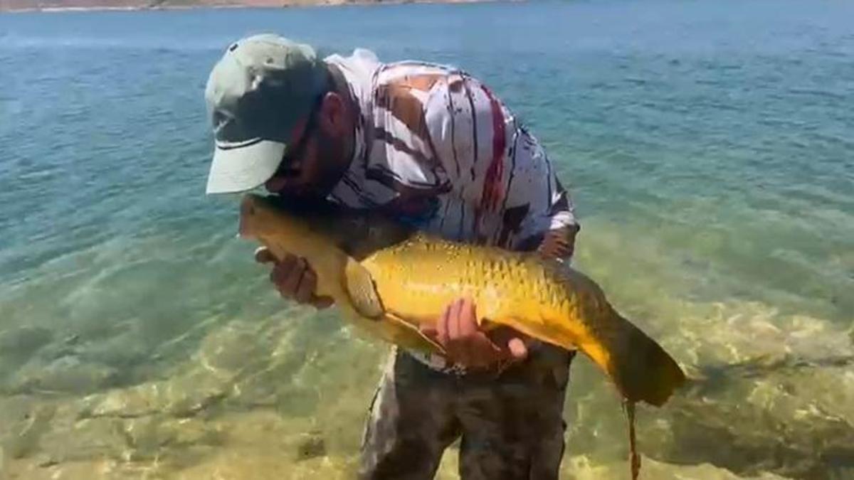Yakaladığı 15 kiloluk sazanı öperek tekrar suya bıraktı