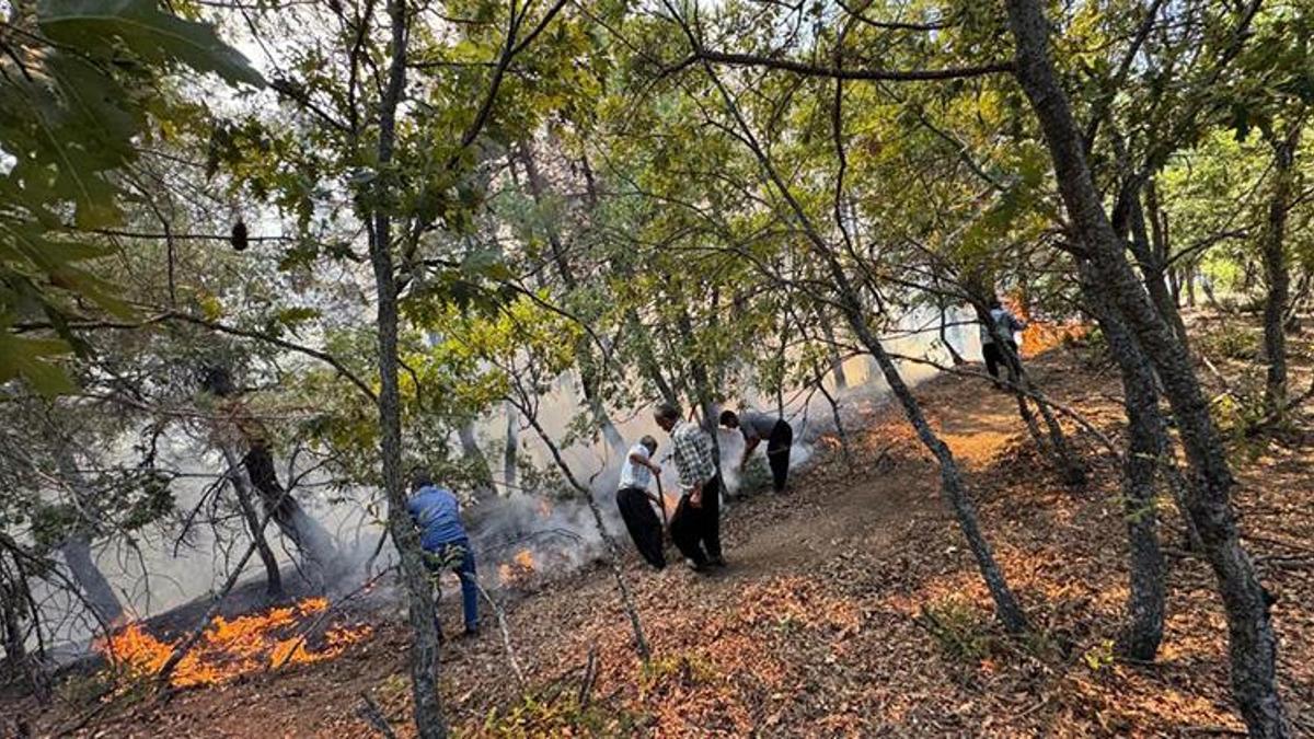 Feke’de orman yangını: Ekipler havadan ve karadan müdahale ediyor