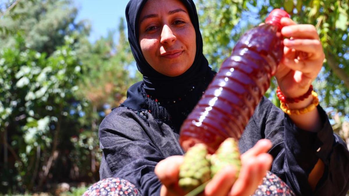 Sigara içenlere doğal çözüm! 7 saat odun ateşinde pişiyor, her derde deva