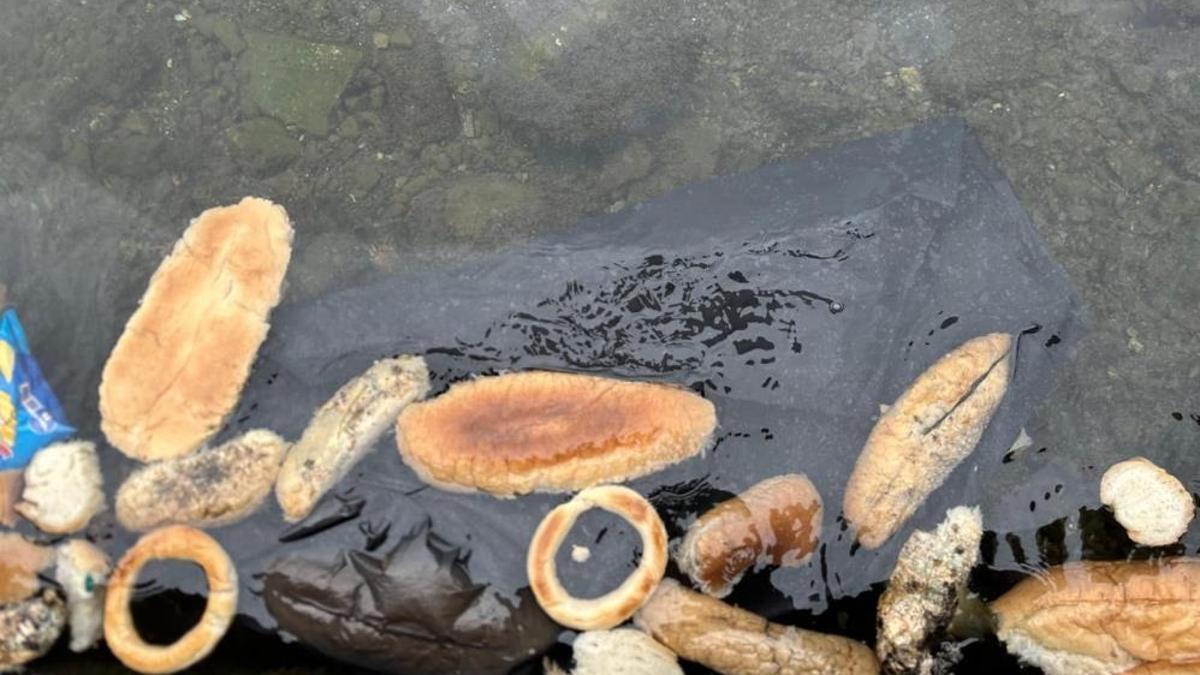 Yüzlerce ekmeği denize döktüler! Rize'de vicdanları dile getiren görüntü