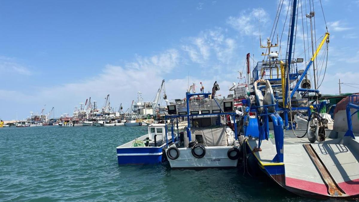 Deniz kirliliği balığı vurdu! Sardalyasız sezon kapıda