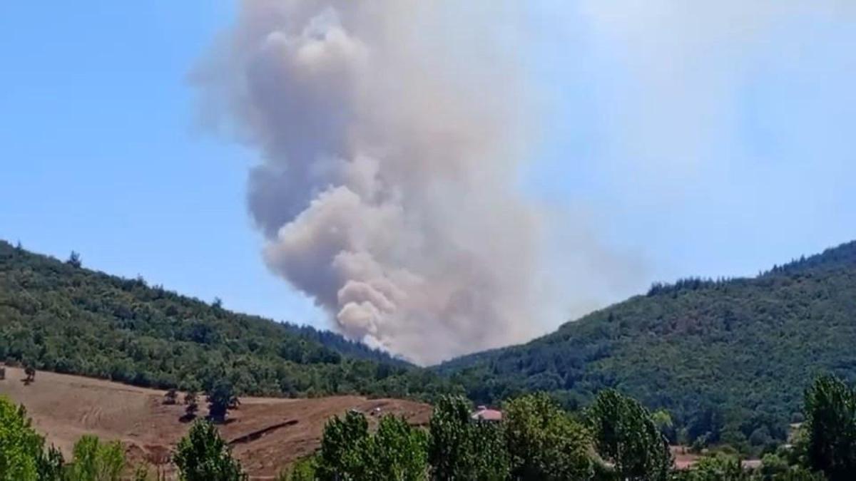 Bursa’da orman yangını