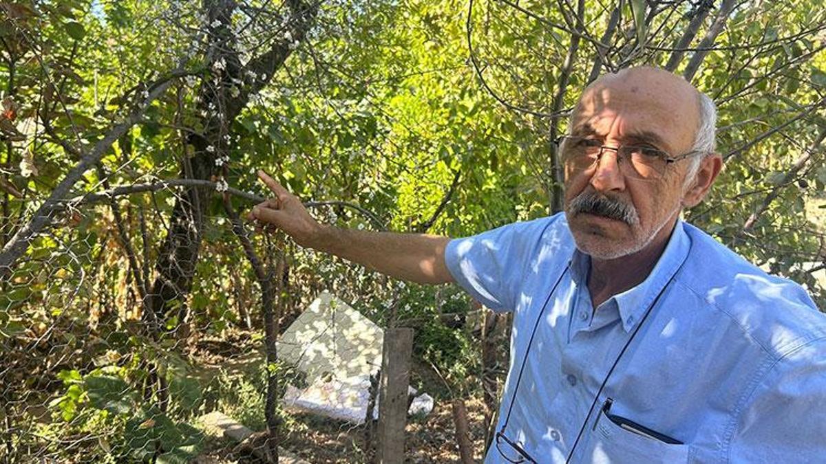 Eskişehir'de görenler hayrete düşüyor! Ağustos'un sonunda çiçek açtı