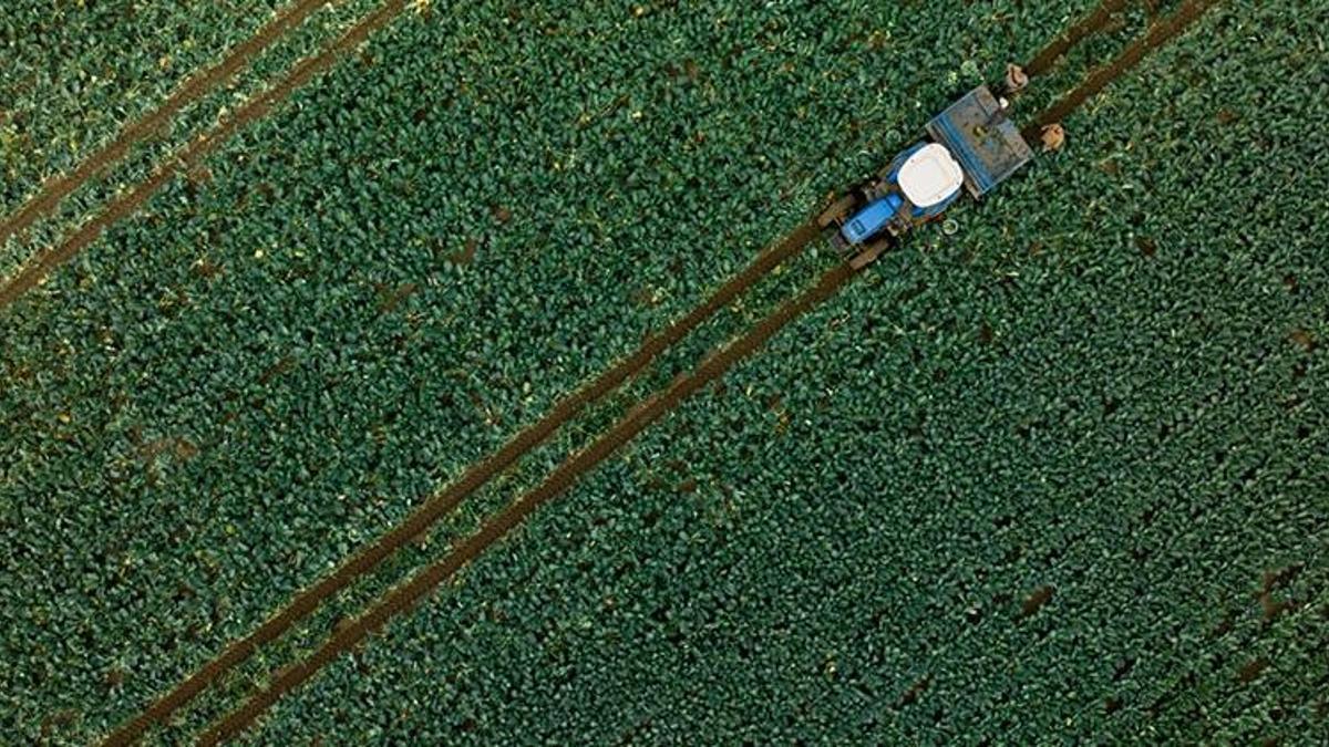 Çiftçi Kayıt Sistemi'nde önemli değişiklik! Resmi Gazete'de yayımlandı