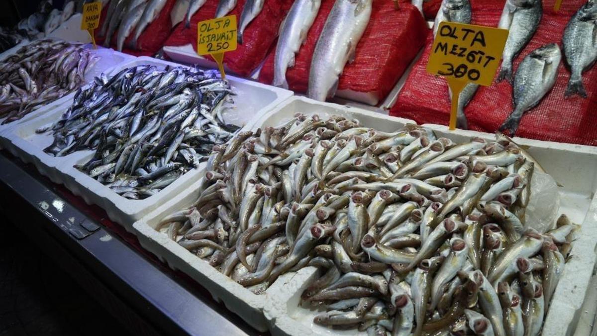 Samsun'da yasak kalktı, ilk parti tezgahlarda yerini aldı!