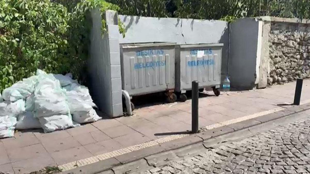 Bebeğinin cesedini çöp konteynerinin yanına bırakıp alışverişe gitmiş! Cani anne gözaltına alındı
