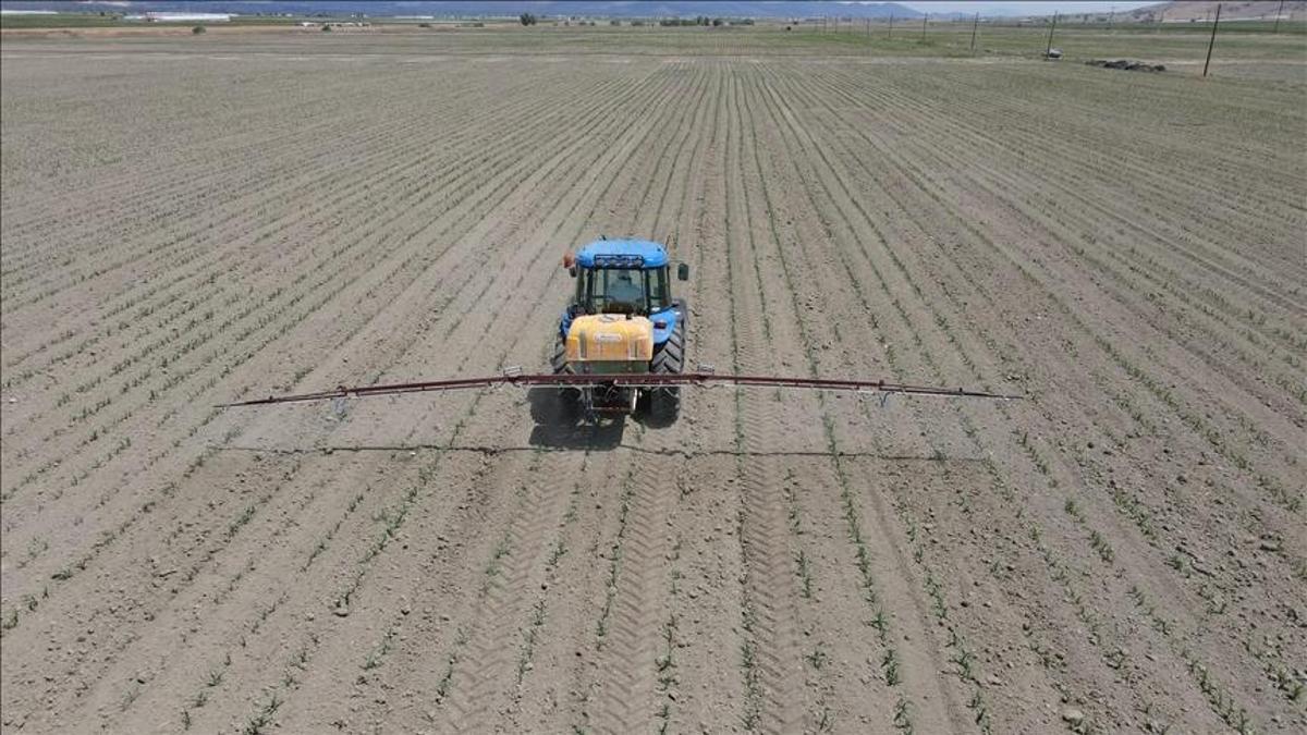 Atıl araziler üretime açılıyor! Kiralık tarla uygulaması başladı