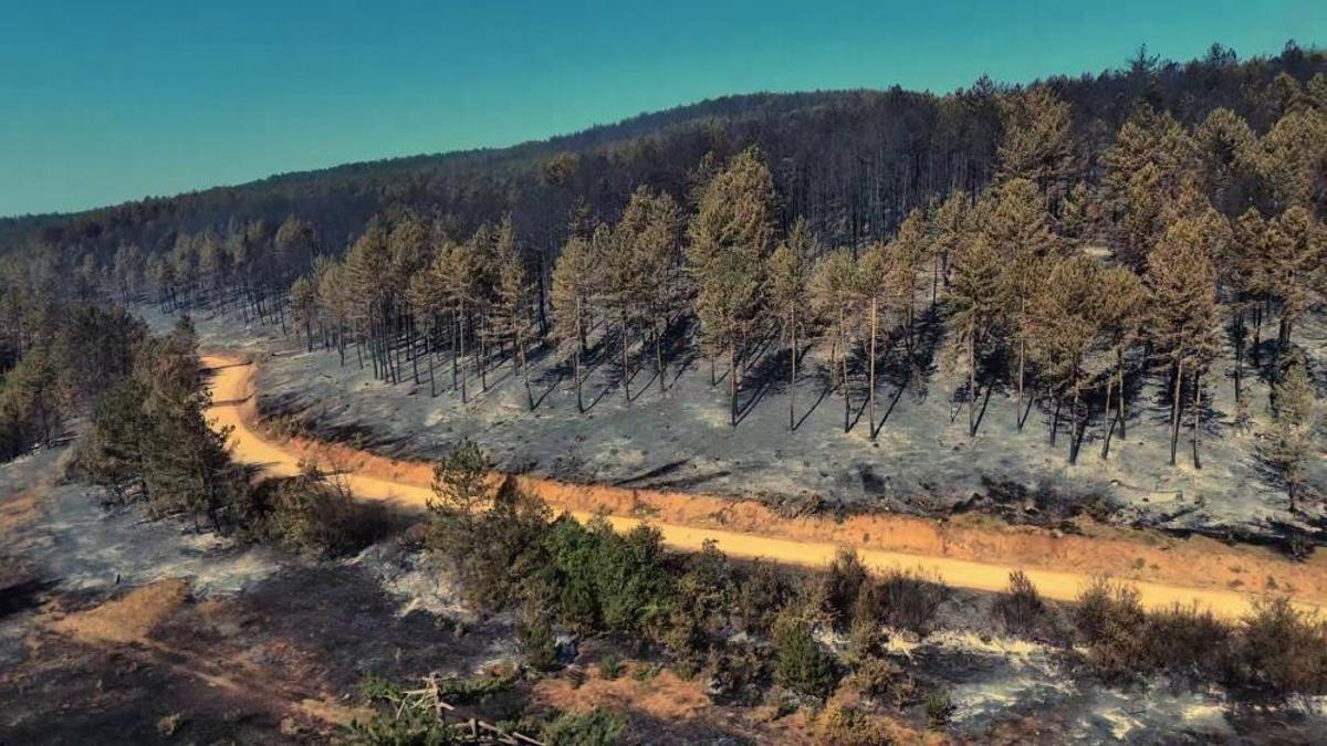Karabük'te acı manzara: Yangından sonra görüntülendi