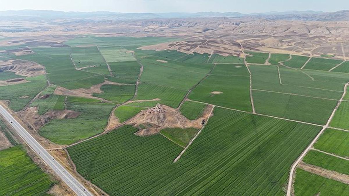 Gece-gündüz sıcaklık farkı, patatese lezzet katıyor! Sivas’ta 460 bin ton rekolte bekleniyor