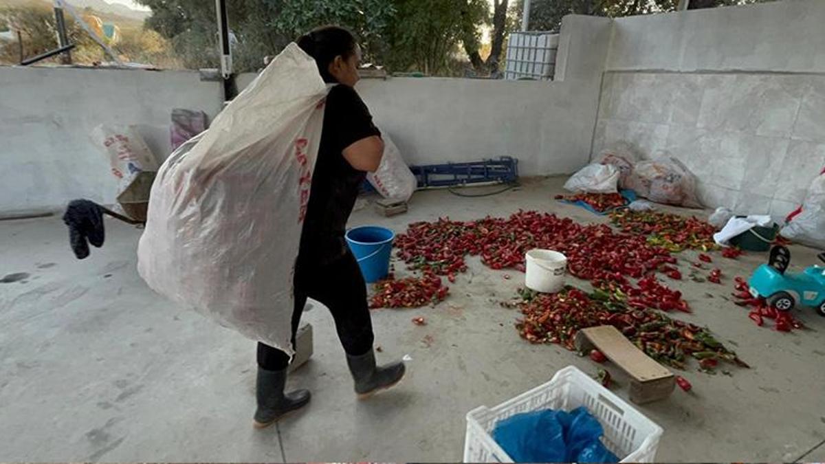 İş bulamayınca tüm birikimini kullandı! Köyüne üretim merkezi kurdu! Her şeyi tek başına yapıyor