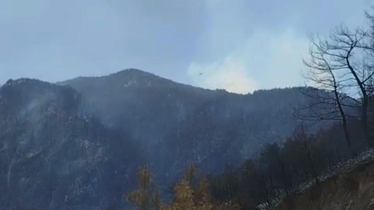 Denizli'de yürekleri dağlayan görüntüler! Dağlarının yeşil örtüsü siyaha büründü