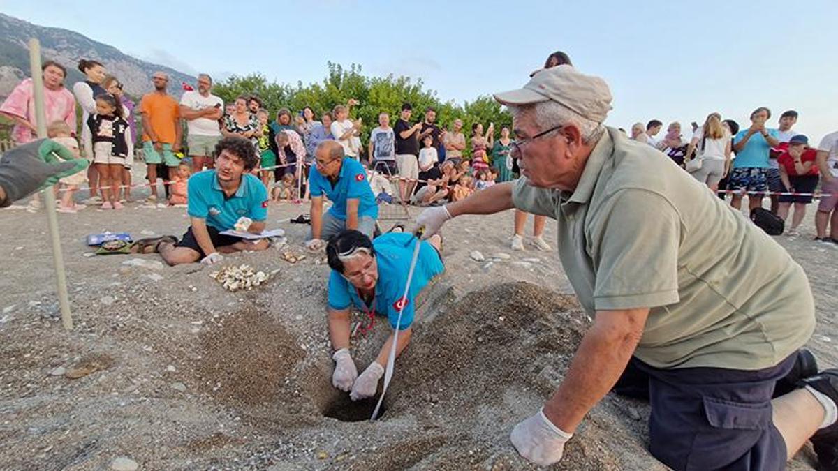 Nesli tehlike altındaki canlıların yaşam savaşı, bu mahallede kazanılıyor: Tatil planlarını onlara göre yapıyorlar!