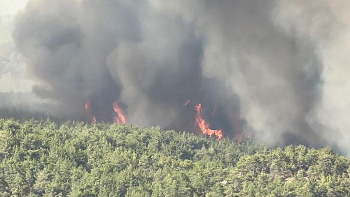 Kastamonu’da bir noktada daha orman yangını! Ekiplerin havadan ve karadan müdahalesi sürüyor