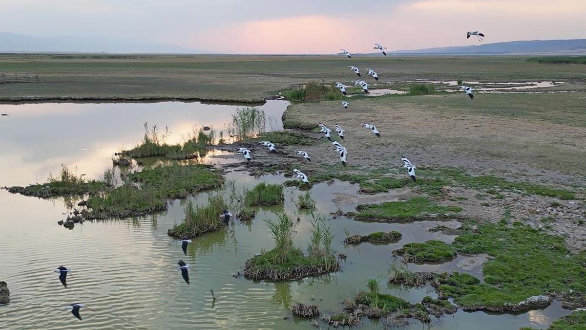 Bitlis ziyaretçilerini uğurluyor: Sonbaharla dönüş başladı