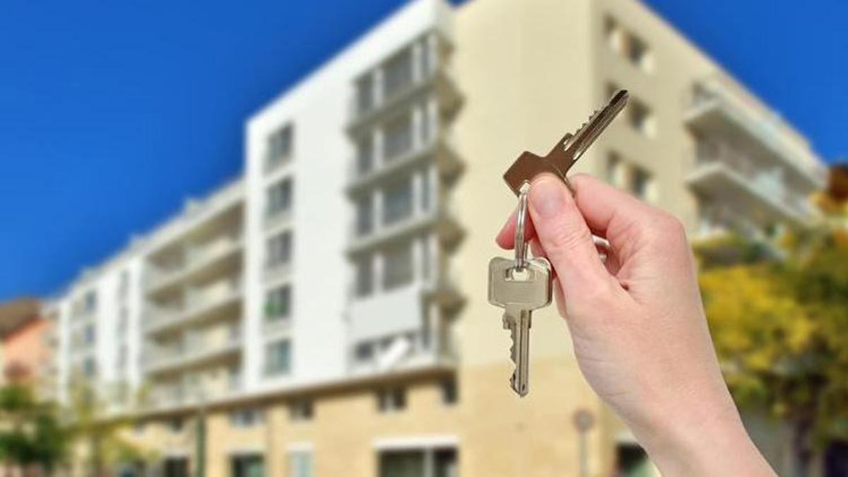 Düzce'de yeni evlenecek çiftleri sevindiren haber! Emlakçılar komisyon almayacak