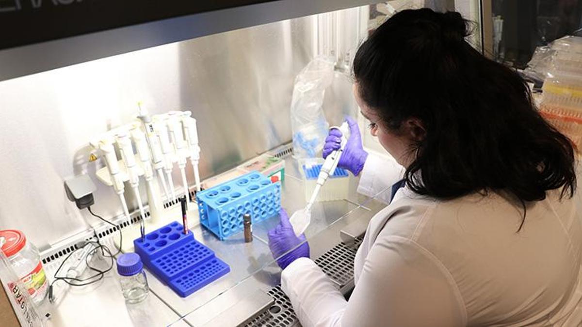 Kütahya'dan sağlıkta devrim yaratacak buluş: Bağırsak hastalıklarına bor mineralinden çözüm ürettiler