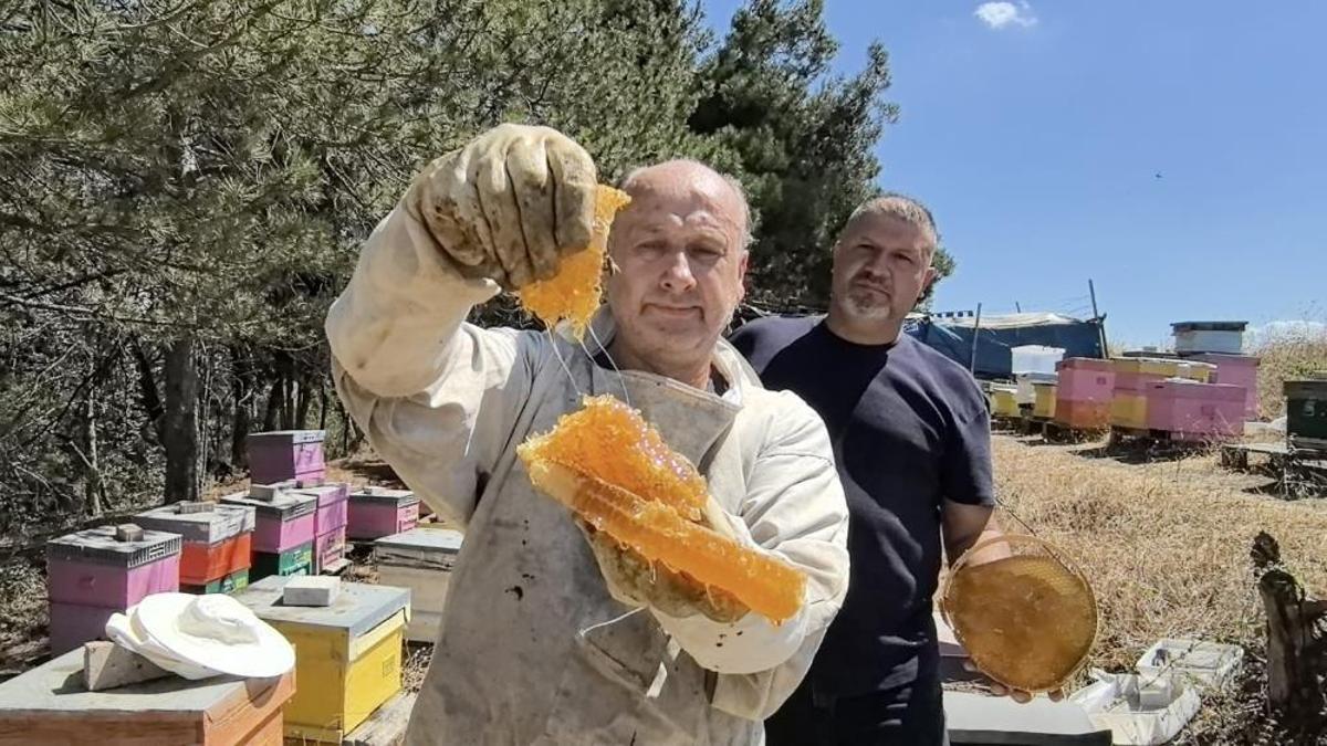 Bu bal her derde deva! 70 farklı çiçekten harmanlanıyor