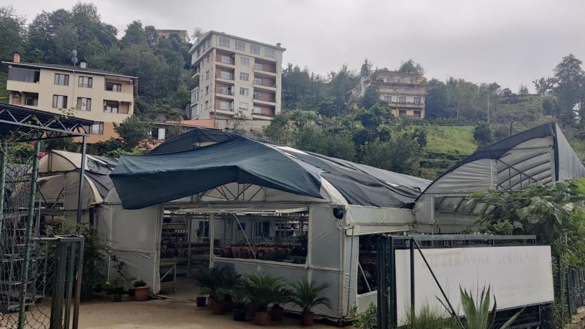 Almanya'dan Rize'ye döndü, kaktüsle işe başladı şimdi her ay 10 bine tane satıyor