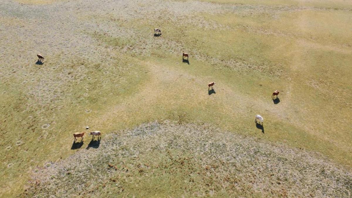 Yozgat'ta alarma geçildi! Dron görüntüleri korkunç manzarayı ortaya çıkardı, yeni tehlike kapıda