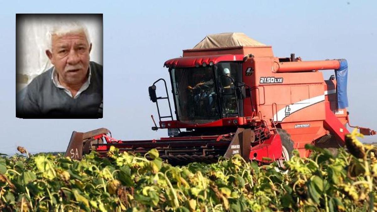 Edirne'de ayçiçeği hasadında feci olay! Tarlada fark etmedi, üzerinden geçti