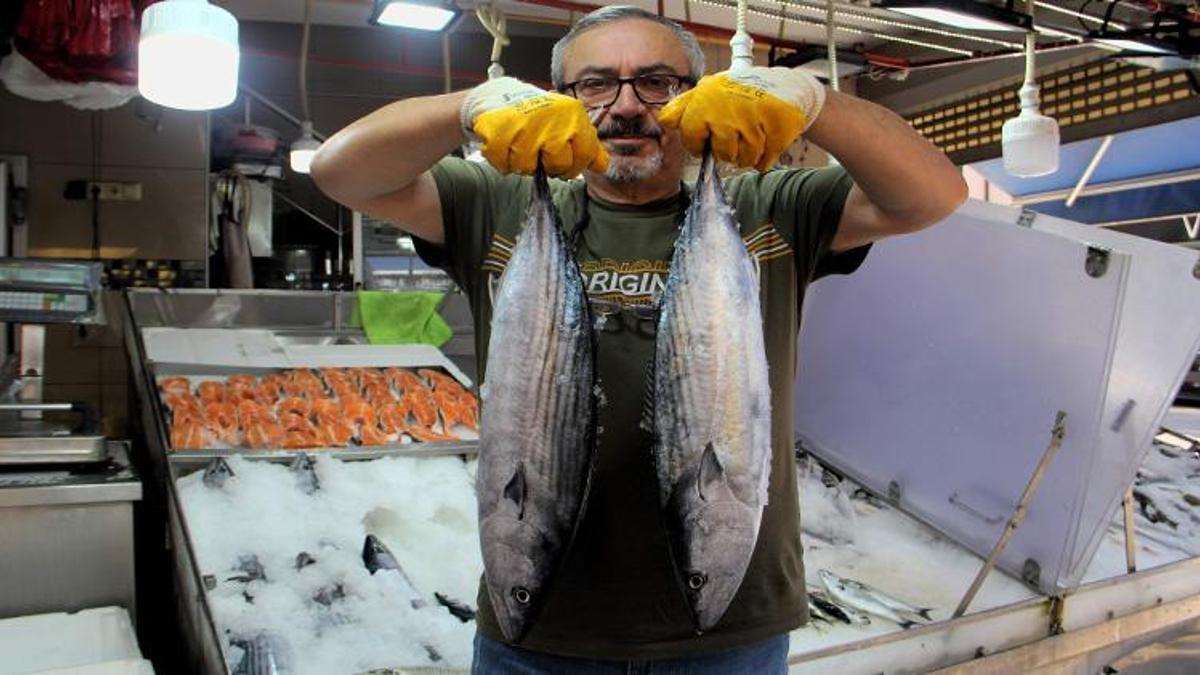 Sinop'ta torik bolluğu! 650 kasa avlandı: Tanesi 800 TL'ye kadar düştü!