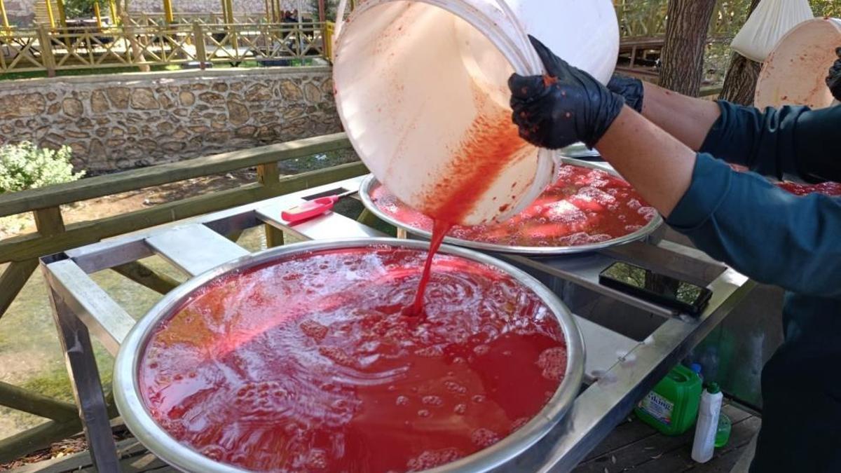 Malatya'da organik domates hasadı! Kadınlar işliyor, kadınlar kazanıyor